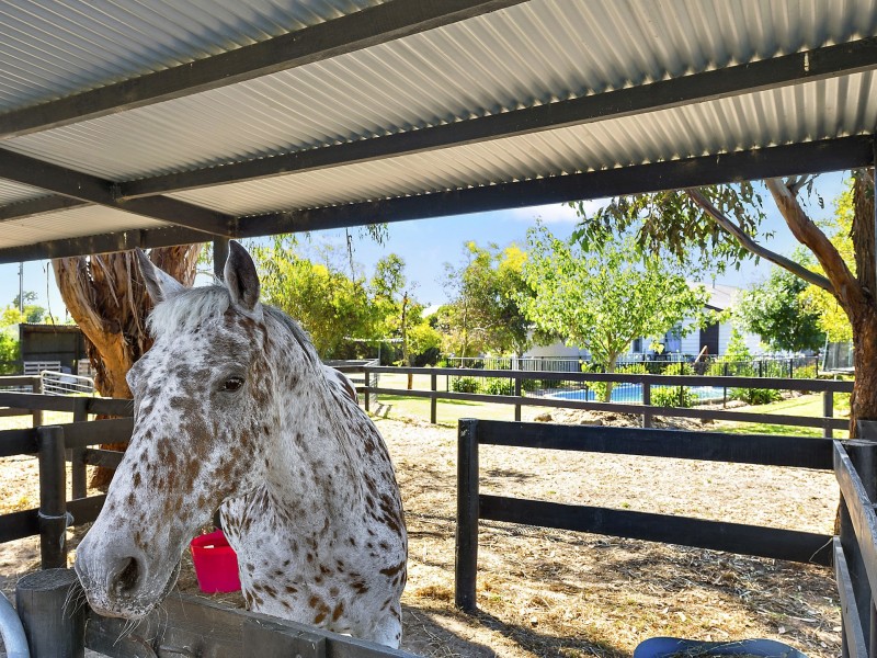 10 McDonnells Road, Birregurra VIC 3242