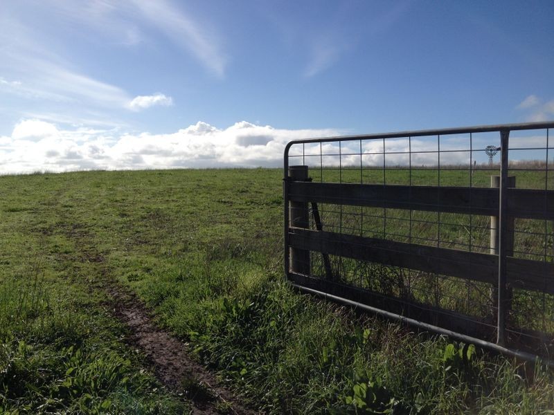 65 Ryans Lane, Coragulac VIC 3249