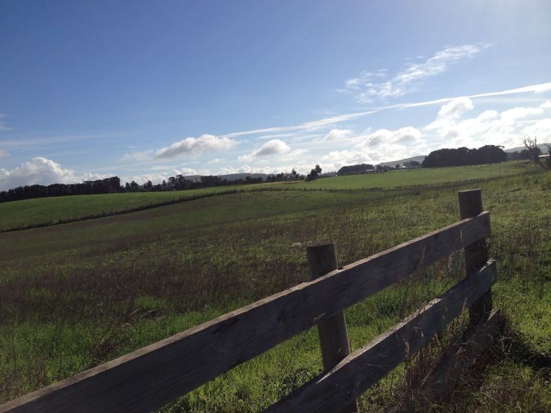 65 Ryans Lane, Coragulac VIC 3249