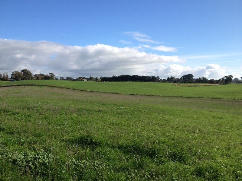 65 Ryans Lane, Coragulac VIC 3249