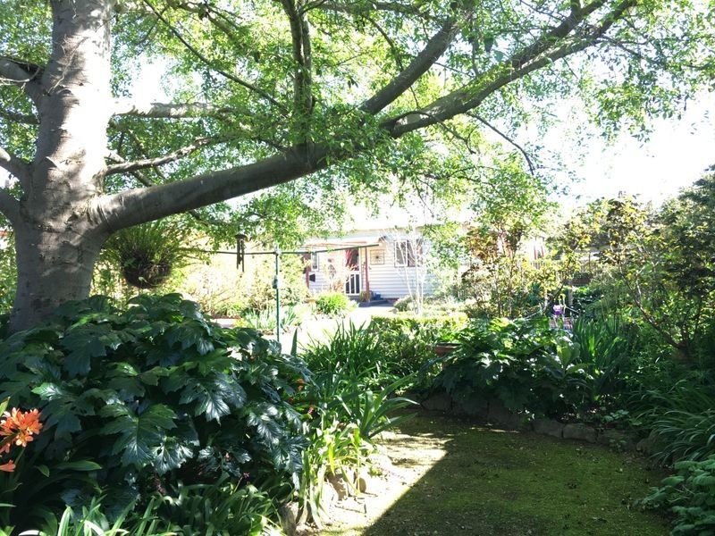 46 Pollack Street, Colac VIC 3250