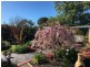46 Pollack Street, Colac VIC 3250