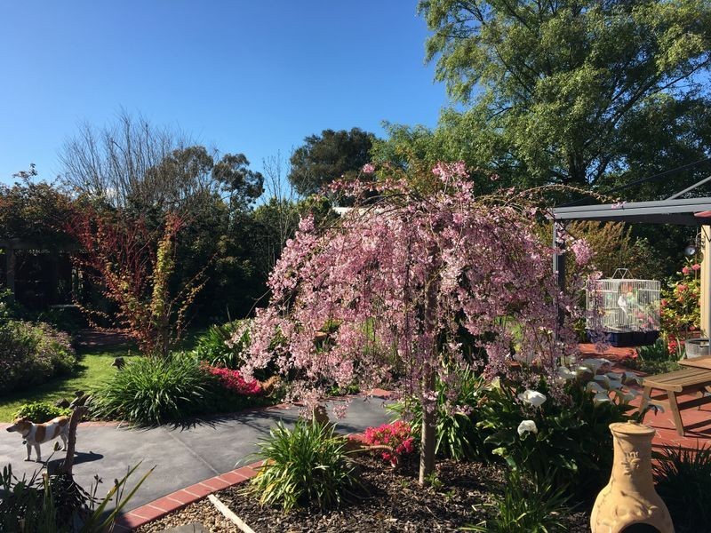 46 Pollack Street, Colac VIC 3250