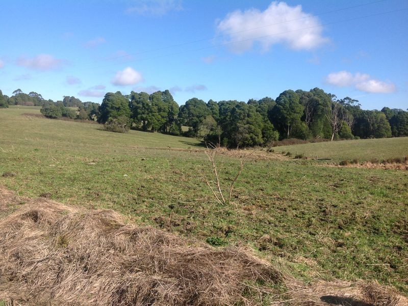 135 Egans Track, Wyelangta VIC 3237