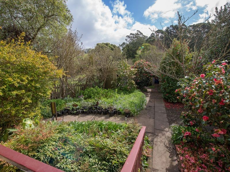 1728 Colac Lavers Hill Road, Kawarren VIC 3249