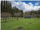 1728 Colac Lavers Hill Road, Kawarren VIC 3249
