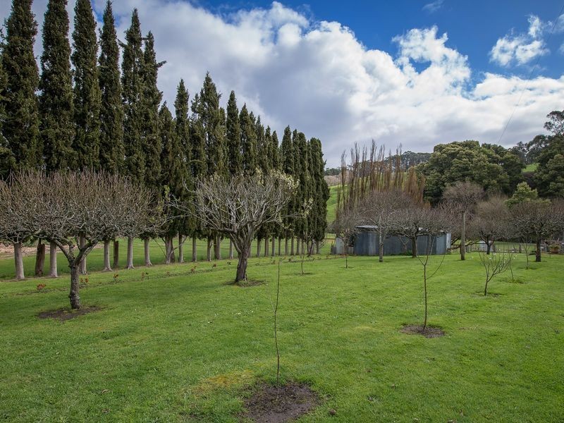 1728 Colac Lavers Hill Road, Kawarren VIC 3249