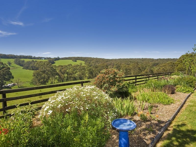 127 Cashins Road, Kawarren VIC 3249