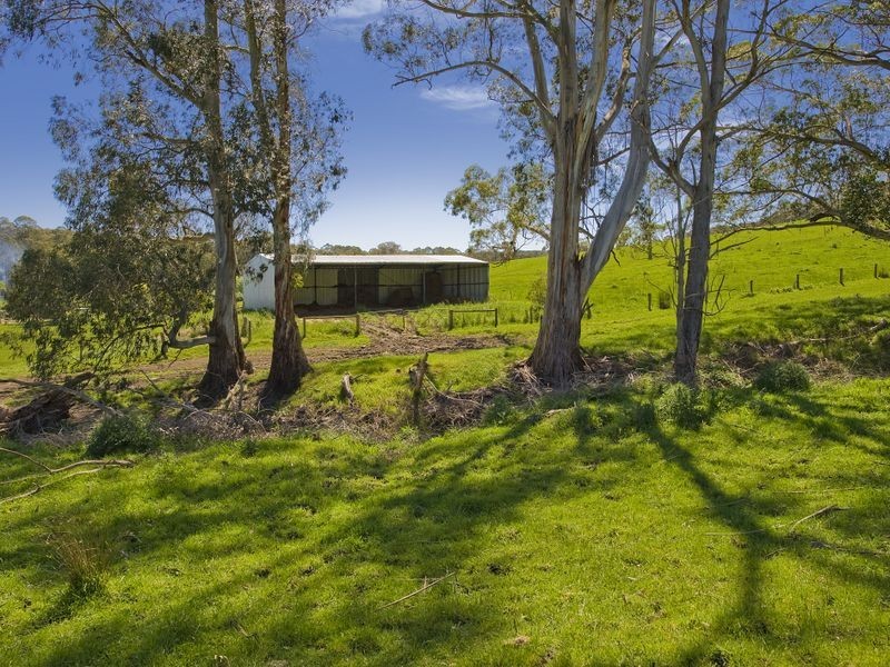 127 Cashins Road, Kawarren VIC 3249