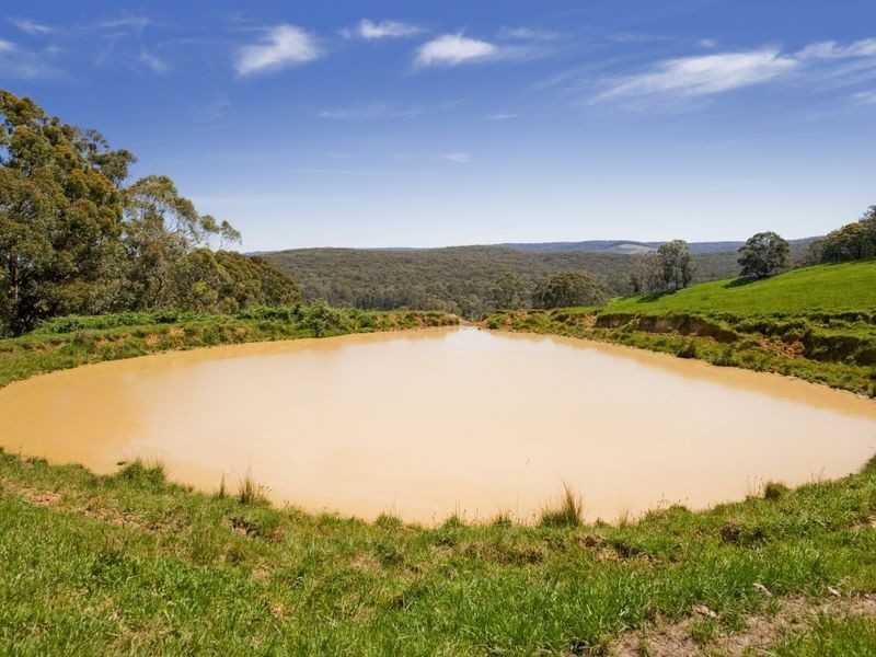 127 Cashins Road, Kawarren VIC 3249