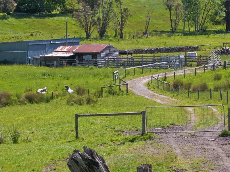 127 Cashins Road, Kawarren VIC 3249