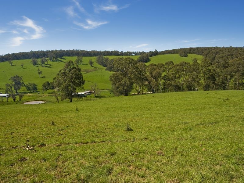 127 Cashins Road, Kawarren VIC 3249