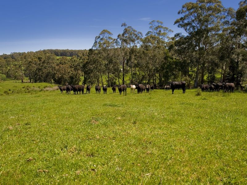 127 Cashins Road, Kawarren VIC 3249