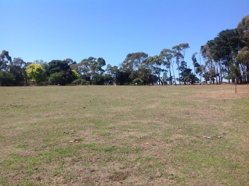 157 Harris Road, Elliminyt VIC 3250