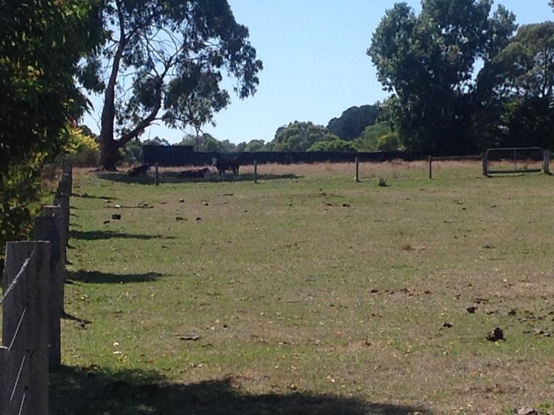 157 Harris Road, Elliminyt VIC 3250