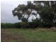 480 Wool Wool Road, Wool Wool VIC 3249