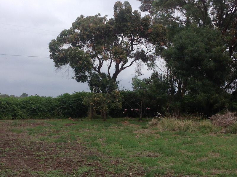 480 Wool Wool Road, Wool Wool VIC 3249