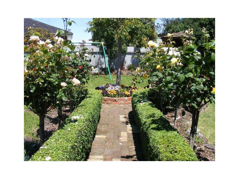 186 Pound Road, Elliminyt VIC 3250