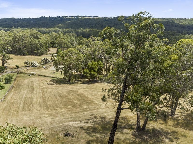 2065 Colac Lavers Hill Road, Gellibrand VIC 3239