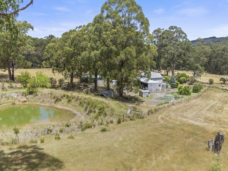 2065 Colac Lavers Hill Road, Gellibrand VIC 3239