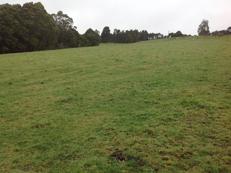 Lot 22 Old Main Road, Beech Forest VIC 3237