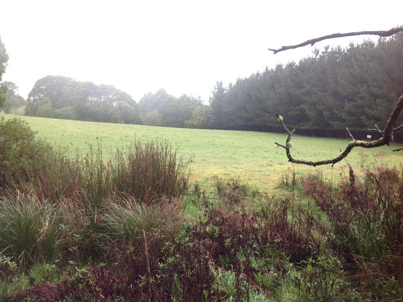 Lot 22 Old Main Road, Beech Forest VIC 3237