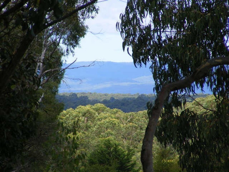 25 Barrys Road, Barongarook VIC 3249