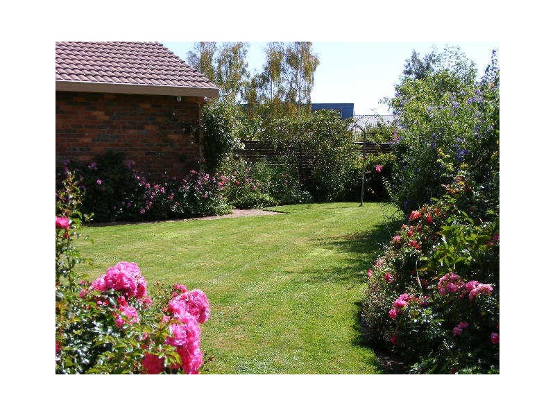 60 Balnagowan Avenue, Colac VIC 3250