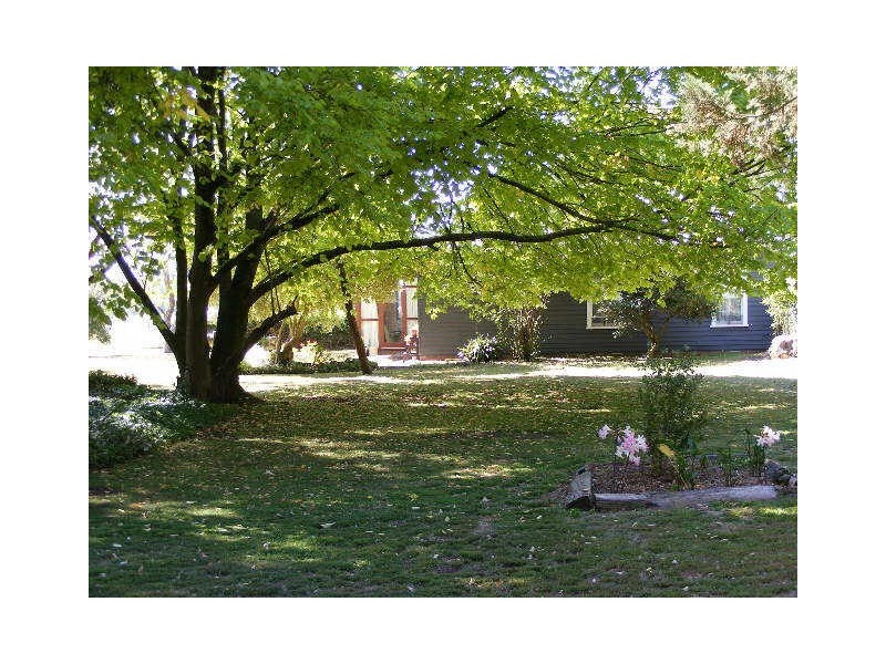 910 Carpendeit Road, Bungador VIC 3260