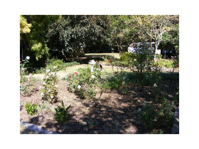 910 Carpendeit Road, Bungador VIC 3260