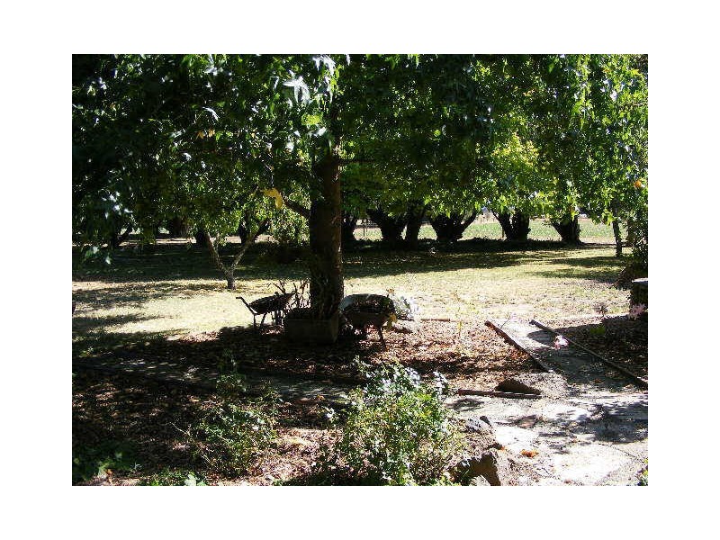 910 Carpendeit Road, Bungador VIC 3260
