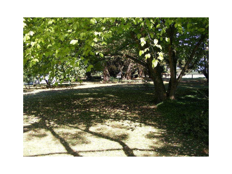 910 Carpendeit Road, Bungador VIC 3260