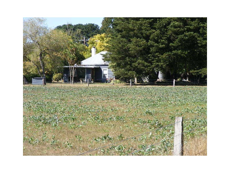 910 Carpendeit Road, Bungador VIC 3260