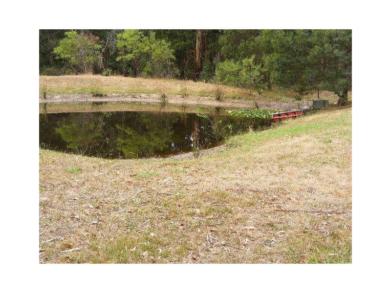 105 Gellibrand East Road, Gellibrand VIC 3239