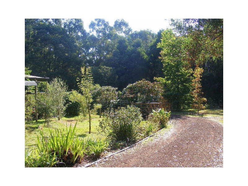 105 Gellibrand East Road, Gellibrand VIC 3239