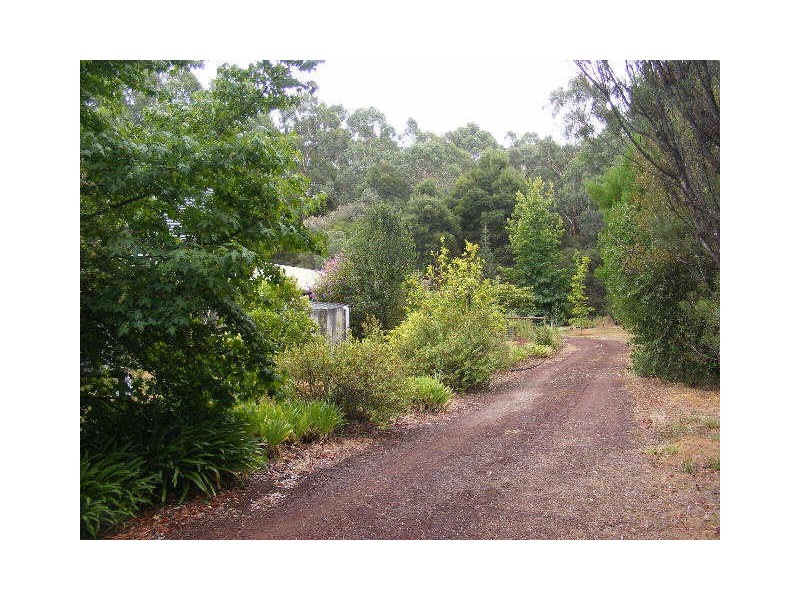 105 Gellibrand East Road, Gellibrand VIC 3239