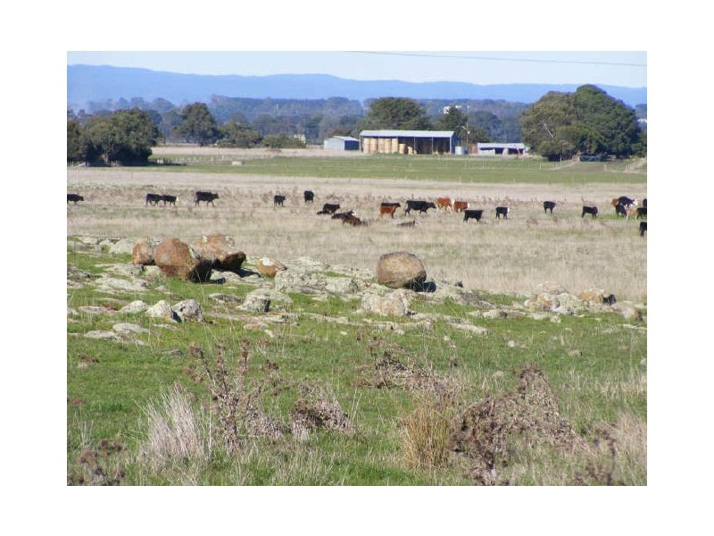 4830 Princes Highway, Birregurra VIC 3242