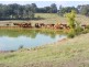 353 Kawarren East Road, Barongarook VIC 3249