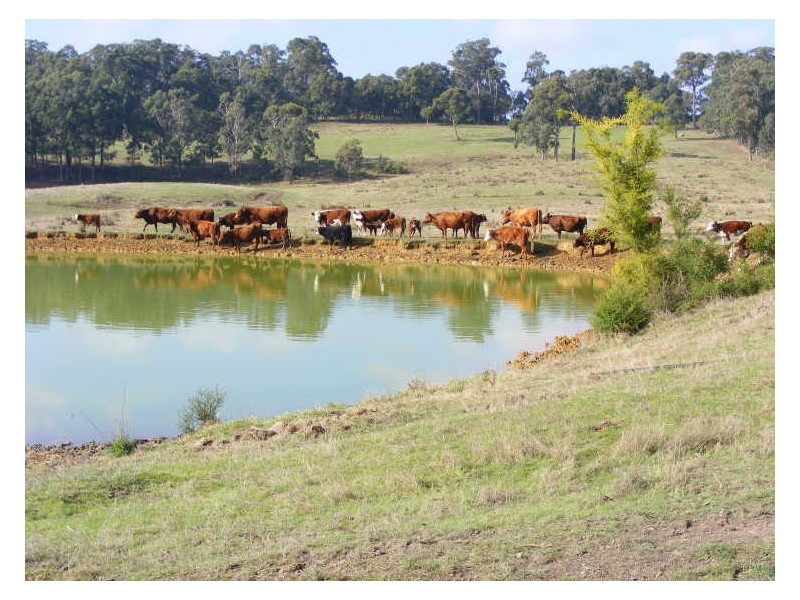 353 Kawarren East Road, Barongarook VIC 3249