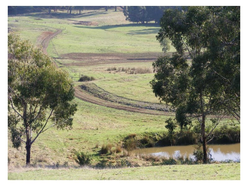 353 Kawarren East Road, Barongarook VIC 3249