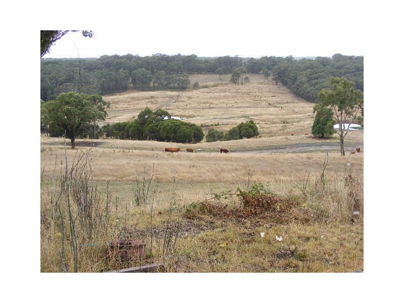 353 Kawarren East Road, Barongarook VIC 3249