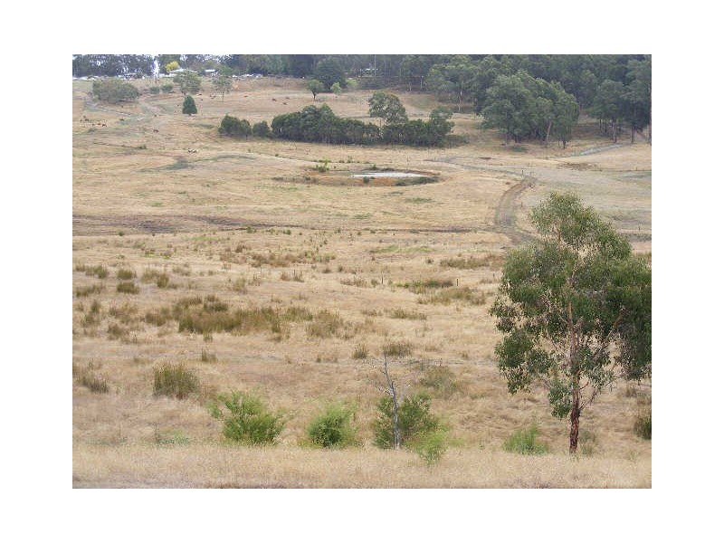 353 Kawarren East Road, Barongarook VIC 3249