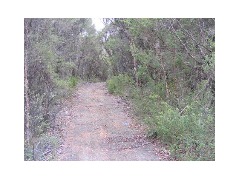 120 Lardners Track, Gellibrand VIC 3239