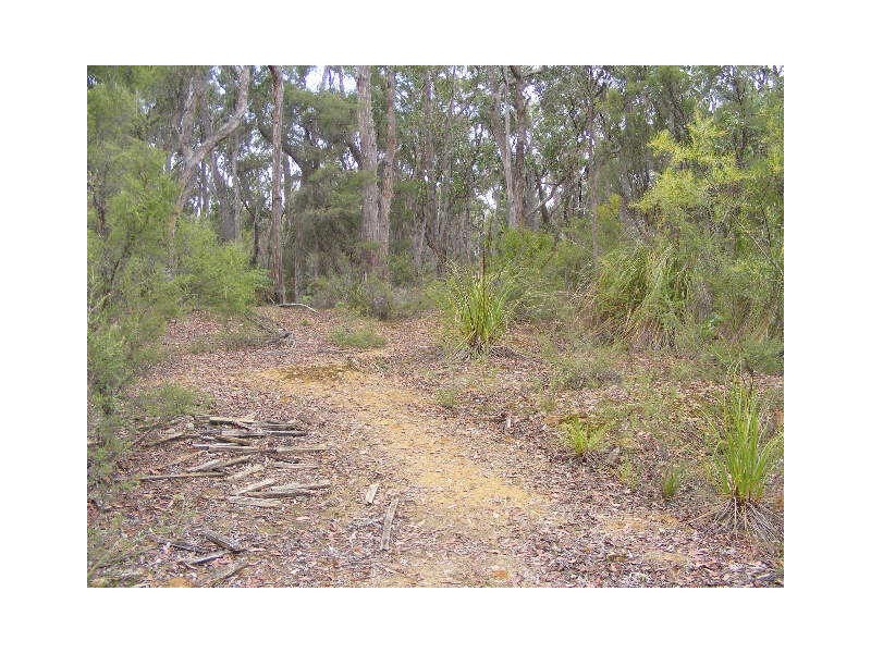 120 Lardners Track, Gellibrand VIC 3239