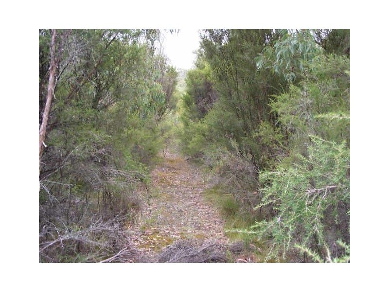 120 Lardners Track, Gellibrand VIC 3239