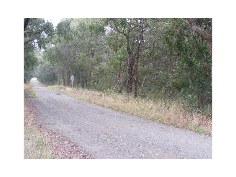 120 Lardners Track, Gellibrand VIC 3239