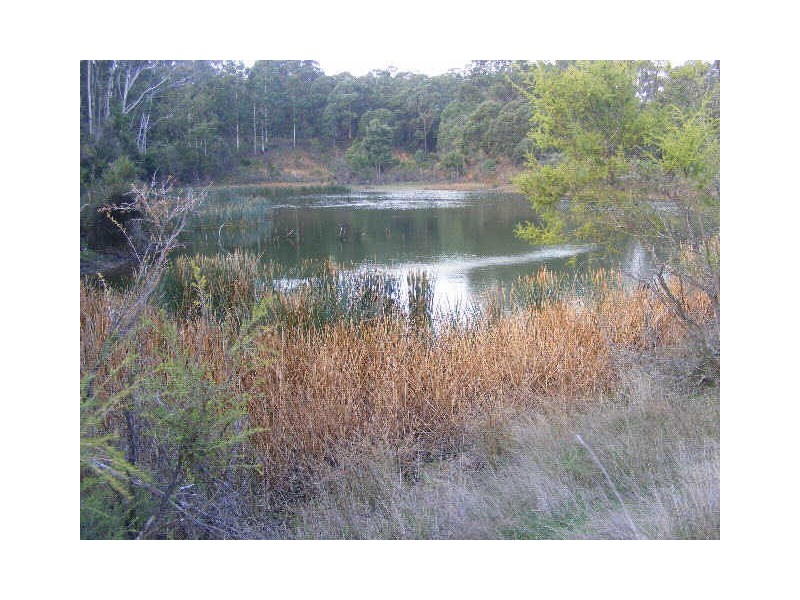 70 Nightingales Road, Kawarren VIC 3249