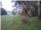 95 Old Beech Forest Road, Gellibrand VIC 3239