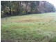 95 Old Beech Forest Road, Gellibrand VIC 3239