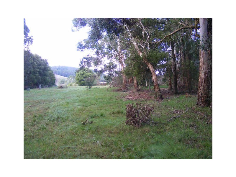 Lot 2/95 Old Beech Forest Road, Gellibrand VIC 3239
